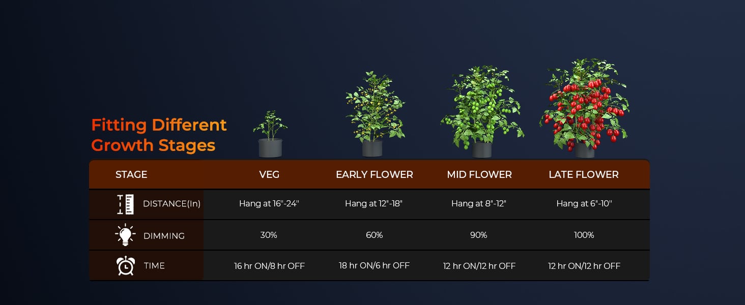 SE3000-Using tips for growing