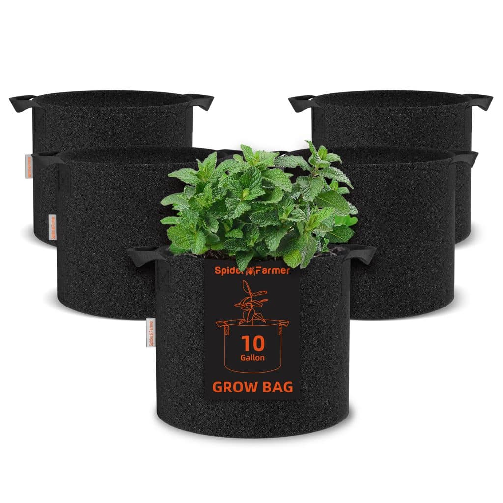 10 gallon growbag