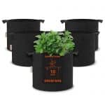 10 gallon growbag