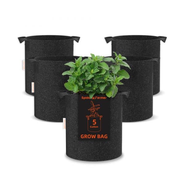 5 gallon growbag