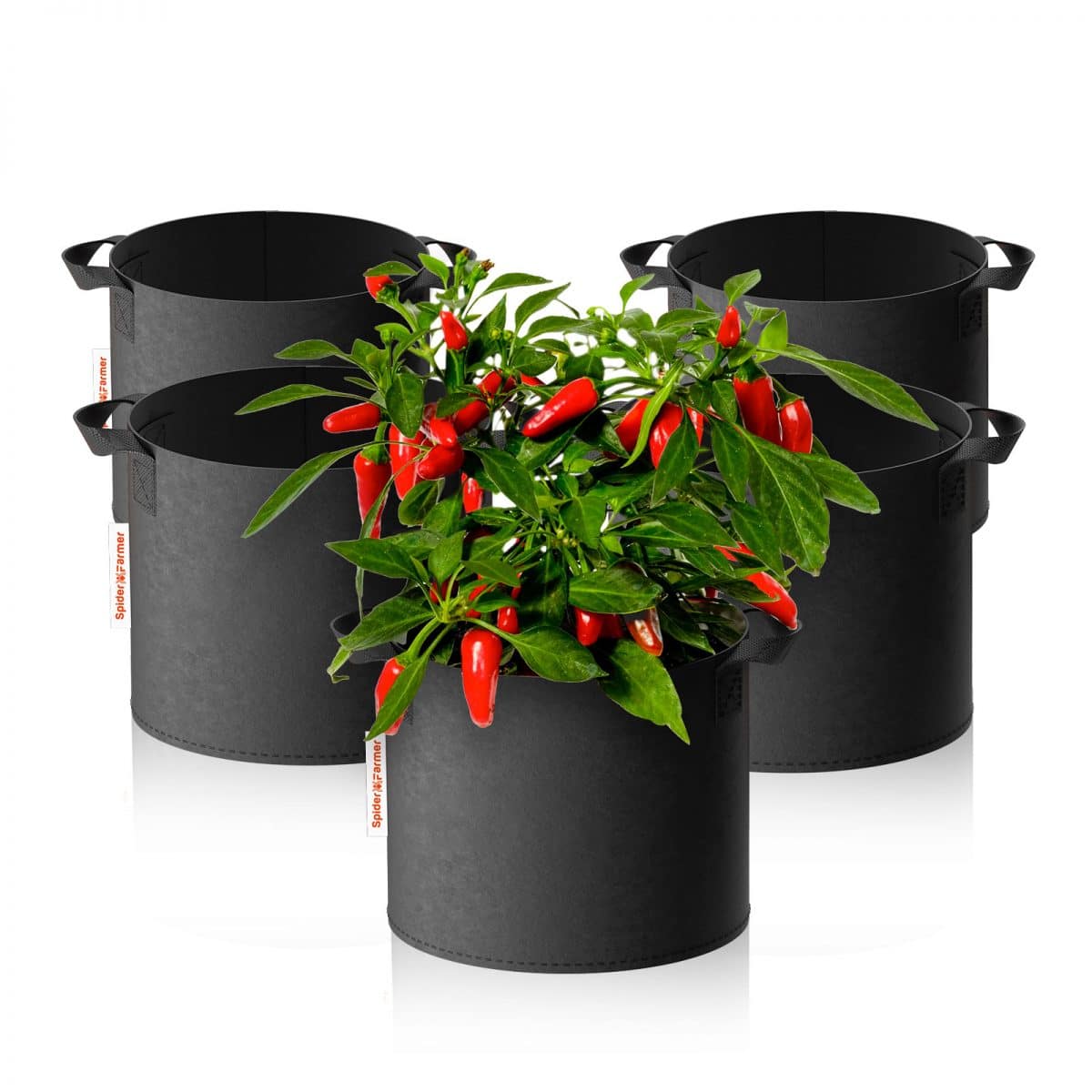 spider famer 11 gallon growbag