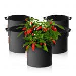 spider famer 11 gallon growbag