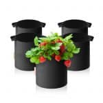 spider famer 5 gallon growbag