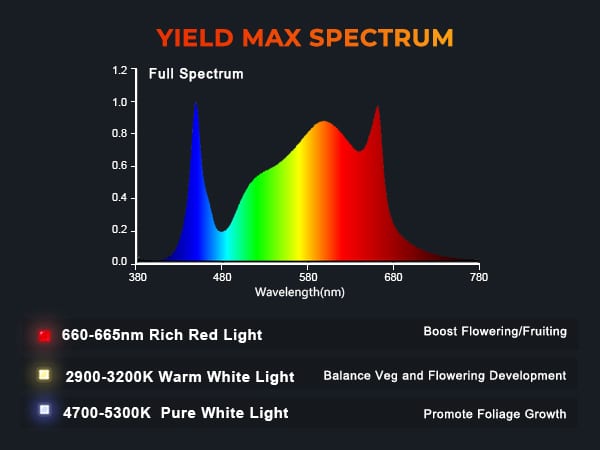 Spider Famrer G4500 cost-effective full spectrum led grow light-m-4