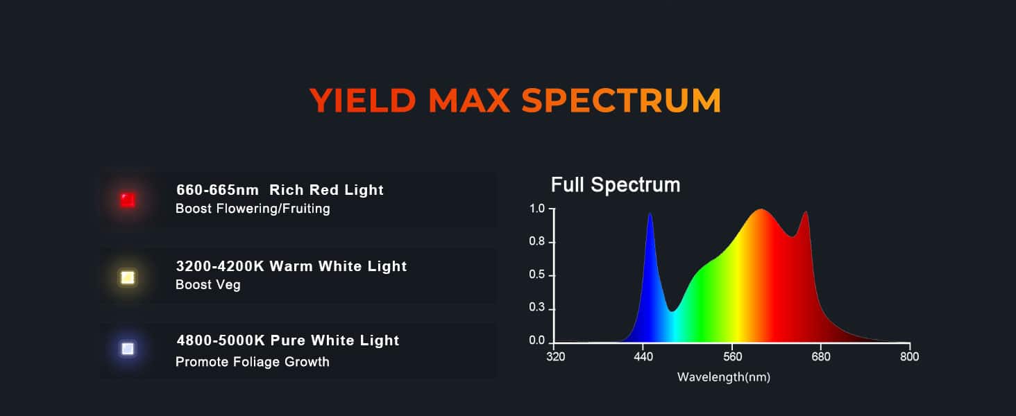 Spider Famrer G5000 cost-effective full spectrum led grow light-4