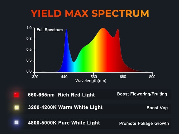 Spider Famrer G5000 cost-effective full spectrum led grow light-m-5
