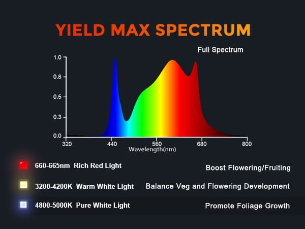 Spider Farmer Full Spectrum Led Grow Light G3000-4