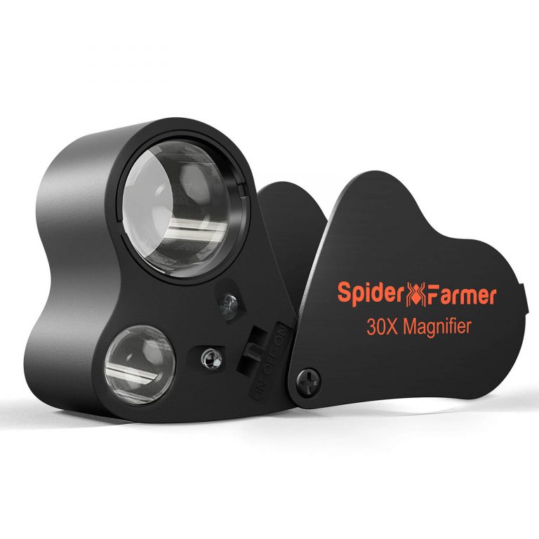 Magnifier SF
