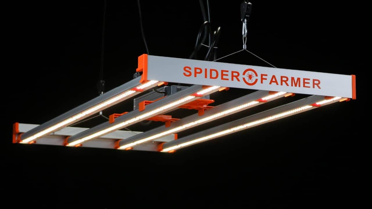 Spider Farmer G4500 LED grow light review | Pro level PAR intensity in a 4x2 & great value