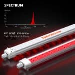 SF-Glowr40-red-spectrum