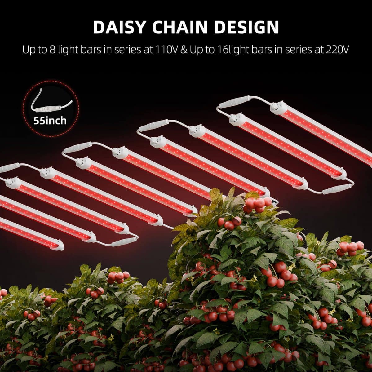 SF-Glowr80-daisy-chain-design