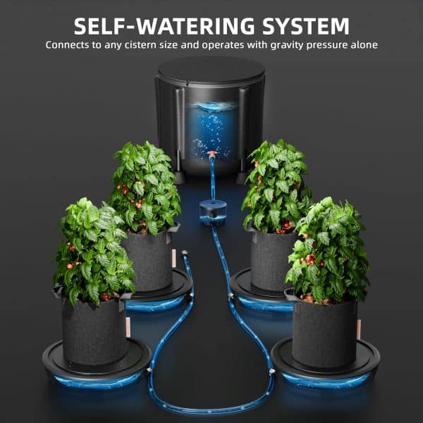 Self-watering system4-3