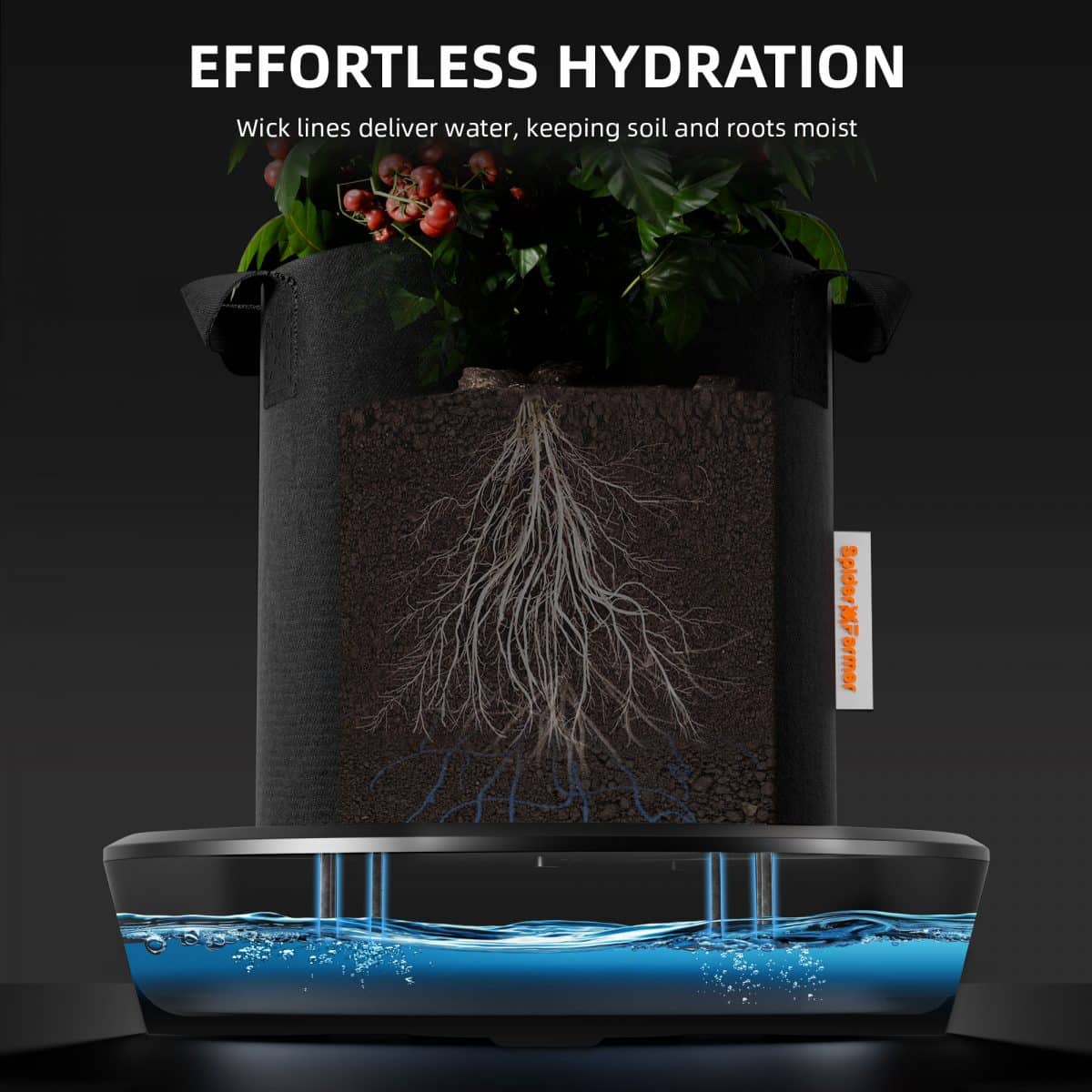 Self-watering system5