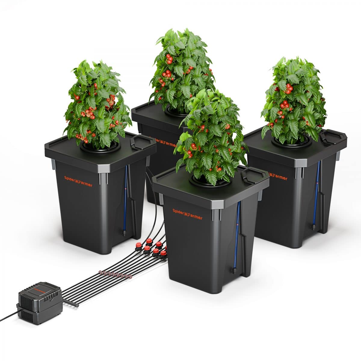 DWC-4PC