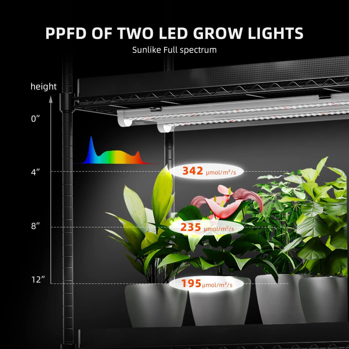 spider farmer plant stand with grow lights 220w PPFD.